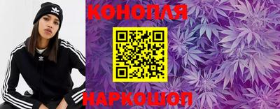 гидропоника Малгобек