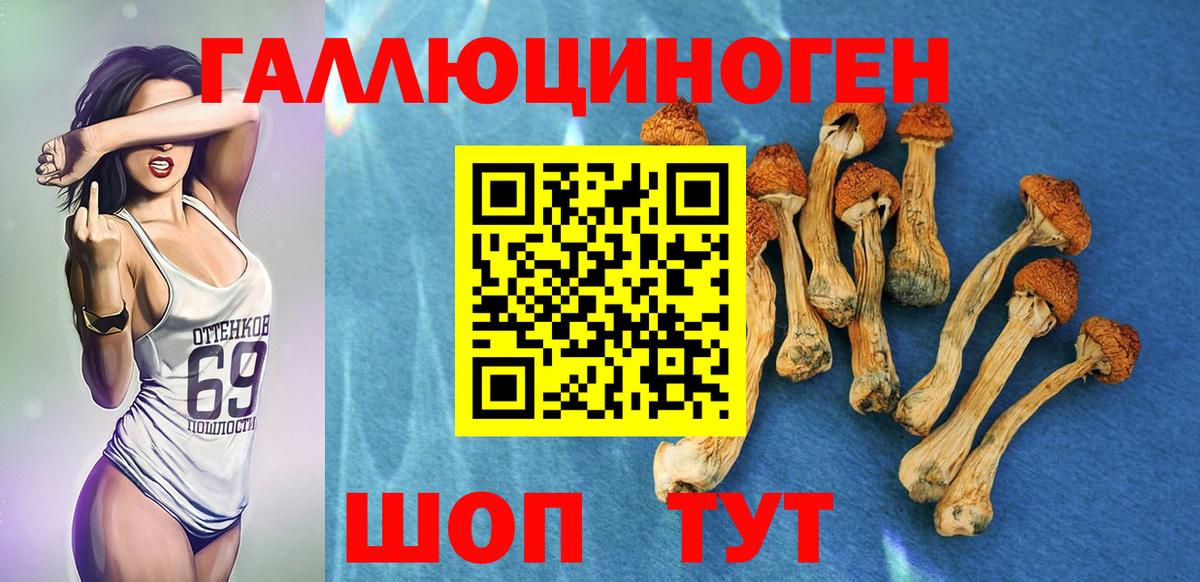 Псилоцибиновые грибы ЛСД Богородск